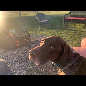 Meet your Posher, Meaghan